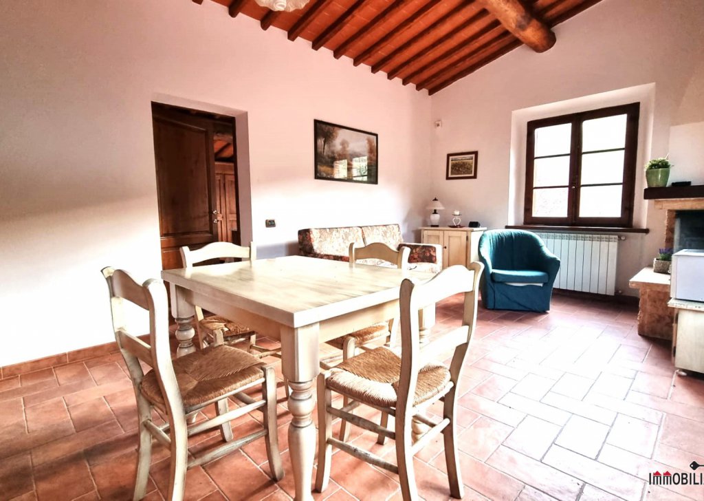 Sale Cottages and Farmhouses Radda in Chianti - Wonderful stone villa in Chianti Locality 