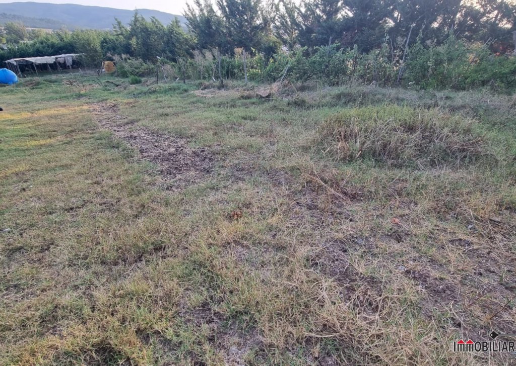 Sale Land agricultural Casole d'Elsa - Agricultural land complete with water, electricity and sewerage Locality 