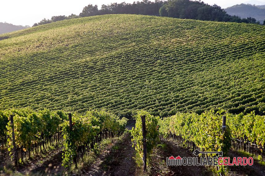 Locale Comm.le in Vendita