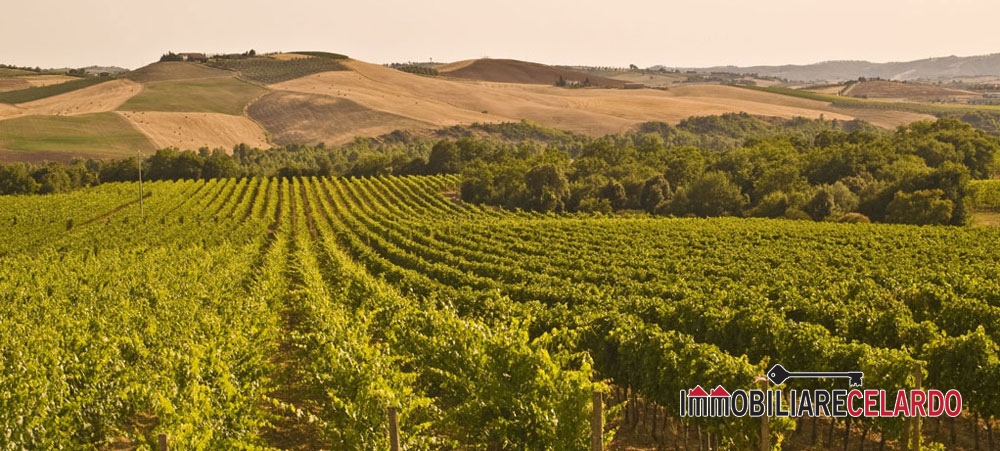 Locale Comm.le in Vendita